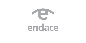 tdb-advisory_endace-logo