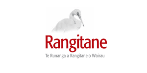 Investment strategy and financial management and budgeting advice